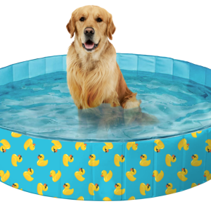 Play On Outdoor Dog Pool, Rubber Duck, 63 Inches