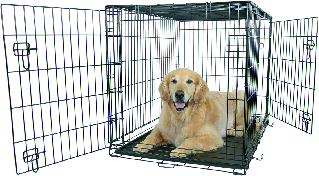 Play On Double Door Crate - Image 3