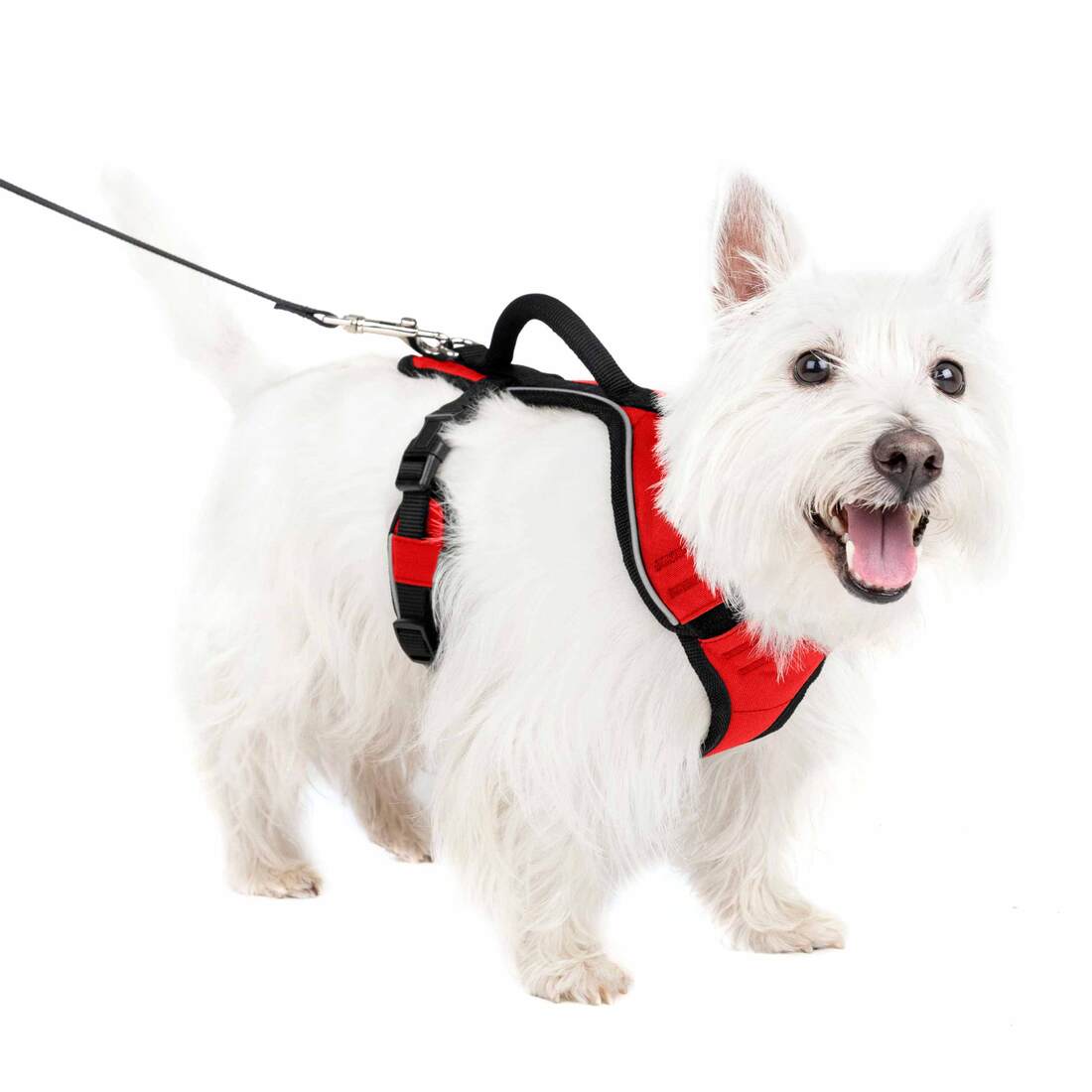 PetSafe® EasySport Harness - Image 4