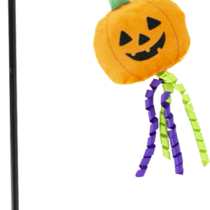 Play On Pumpkin Teaser Cat Toy