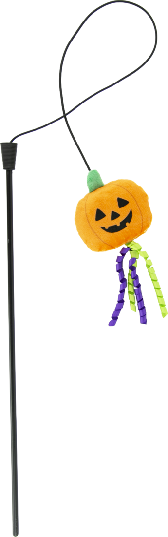 Play On Pumpkin Teaser Cat Toy